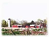 The Strawberry Farm