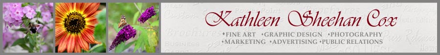 Header Graphic